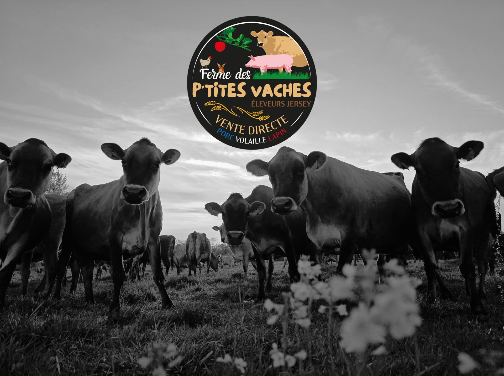 FERME DES P&rsquo;TITES VACHES
